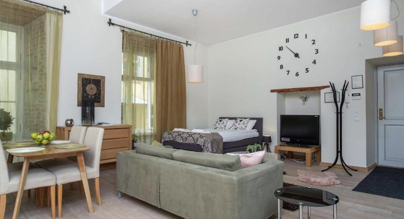 Spacious Studio Apartment in the heart of Old Town — забронировать отель в таллине