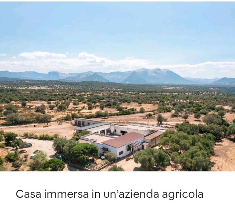 Su Saucu a Dorgali - Autentica casa vacanze con terrazza
