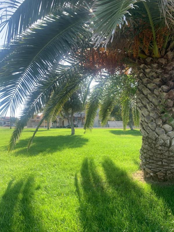 Da Mery a San Nicolò - Accogliente Appartamento