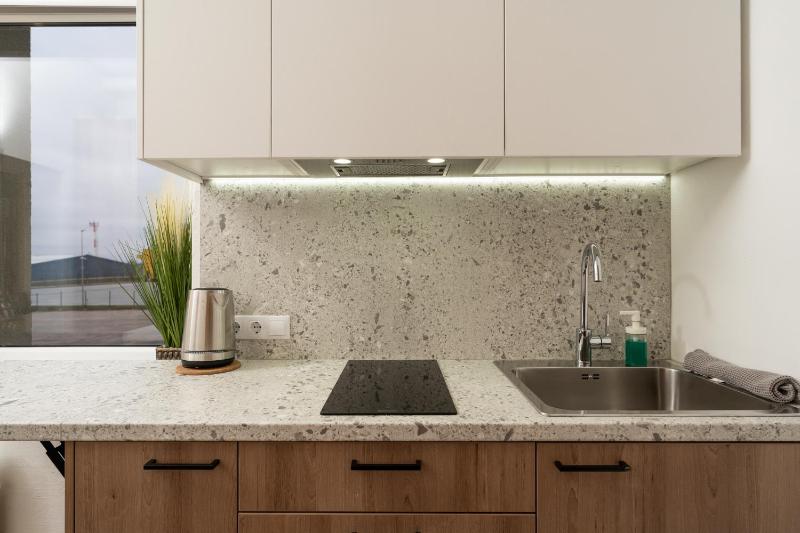 Цены на Air Apartment 211 в Вильнюсе