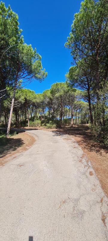 Arboriamar Casa Vacanze a Sorso - Villa vicino spiaggia