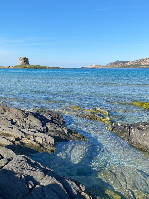 Da Roberto a Stintino - Deliziosa casa vacanze con giardino