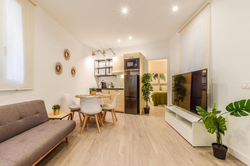 Magnifico Apartamento en Lavapies — забронировать отель в Мадриде