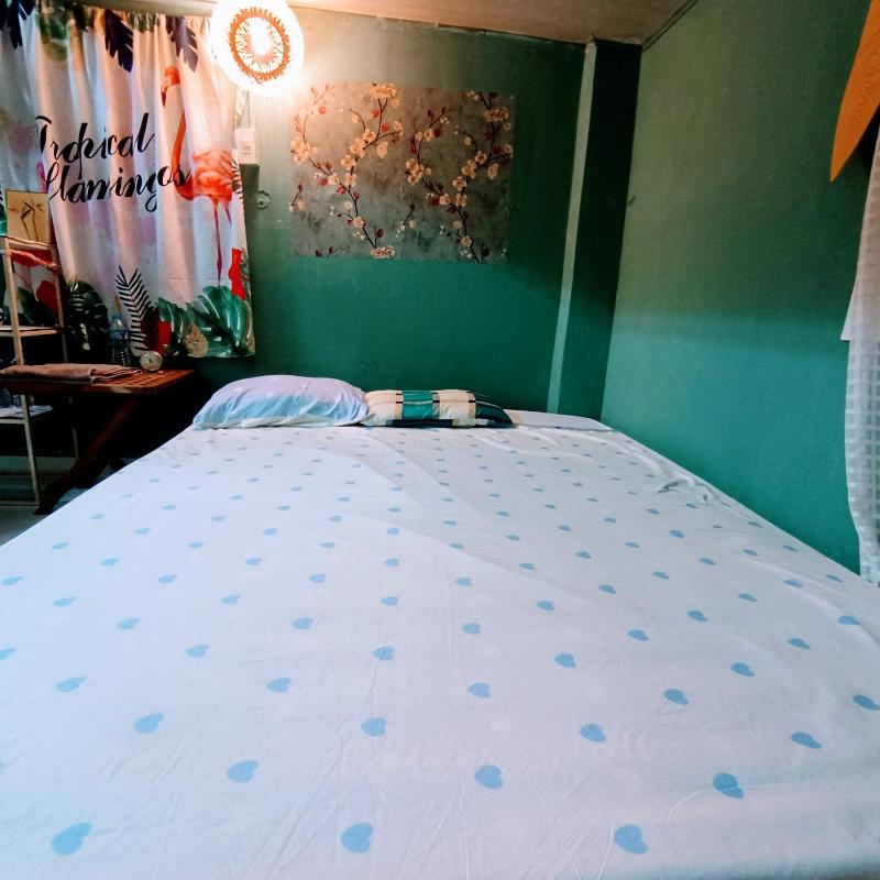 732 Lily Private House in City Center — отзывы гостей и цены