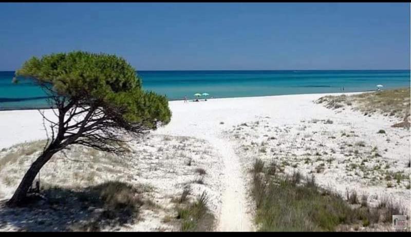Casa Vacanza a Siniscola - Villetta con Giardino Relax
