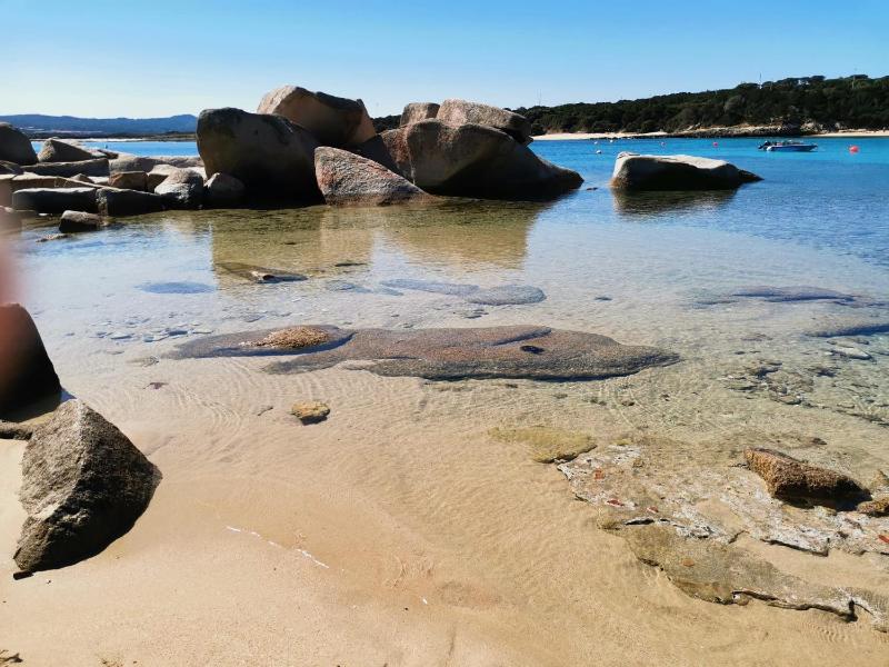 La casa di Sara a Santa Teresa: Appartamento Vista Mare
