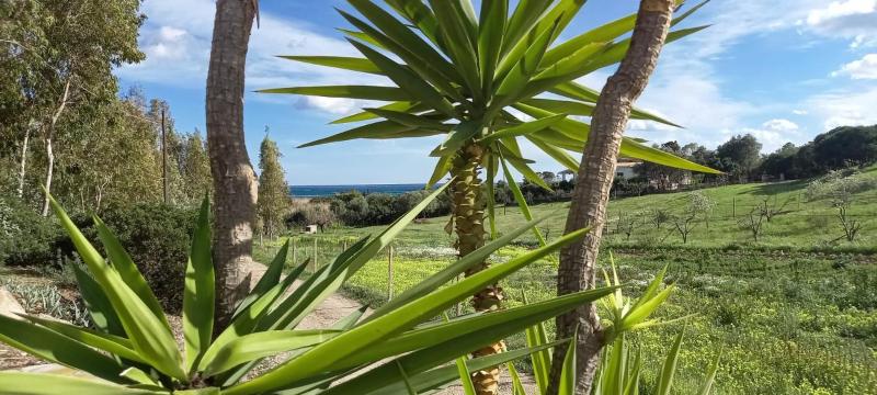 Villa Foxi Murdegu a Tertenìa - Splendida casa vista mare