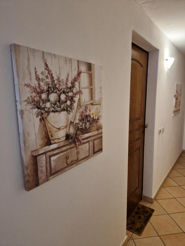 Vacanze in Centro a Olbia - Lussuosi appartamenti con terrazza