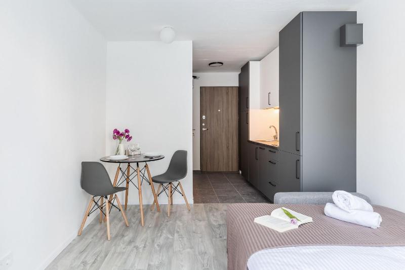 River To The City - Studio 7a Apartment — комфортный отель в Вильнюсе