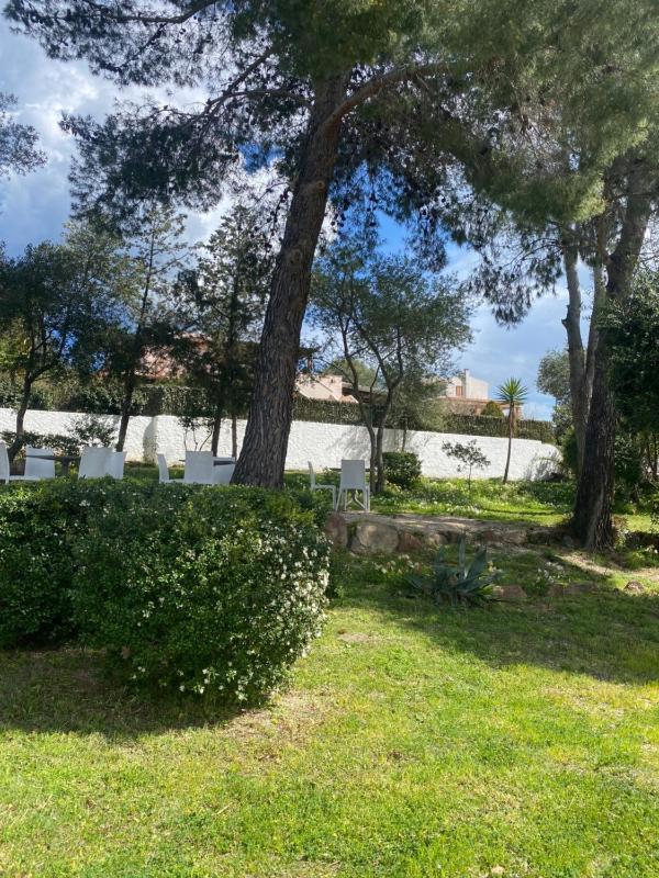 Il Salice a Olbia - Rilassante B&B vicino alla spiaggia
