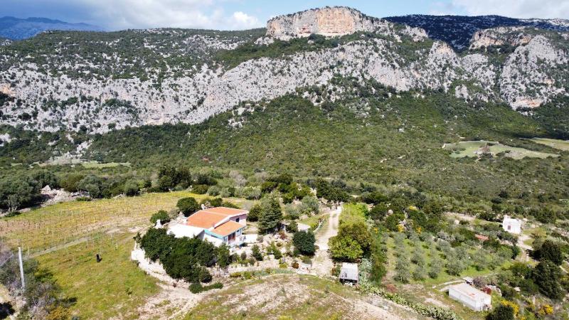Villetta a Dorgali - Incantevole casa vacanze con giardino