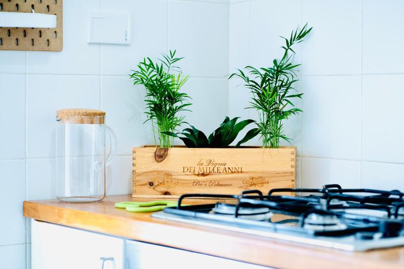 PLANT HOUSE Roma San Paolo — комфортный отель в Риме