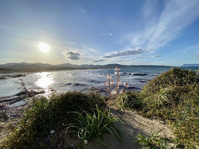 La Pavoncella a Tanaunella - Splendida casa vista mare