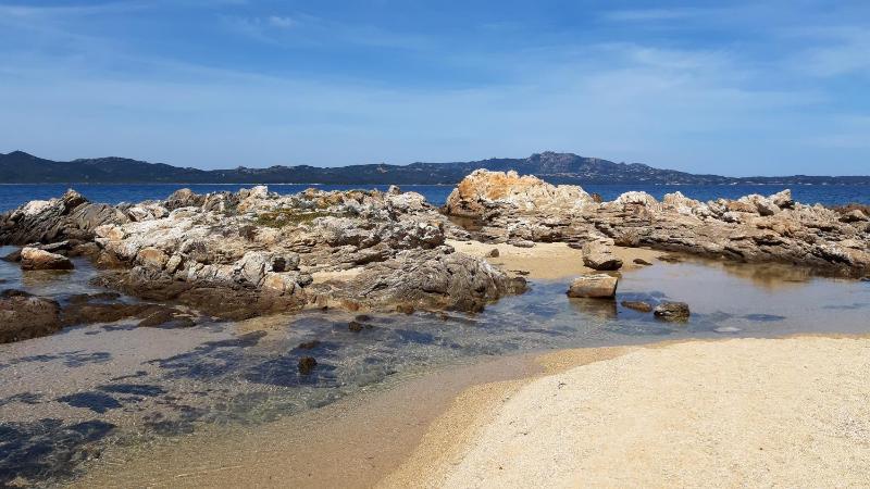 Il piccolo rifugio a Porto Rotondo - Accogliente studio