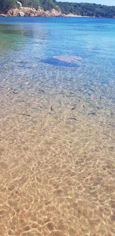 BlueWater a La Maddalena - Appartamento con Balcone