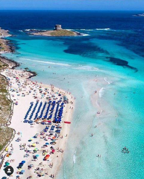 Villa Paradiso a Stintino - Lussuosa villa vista mare