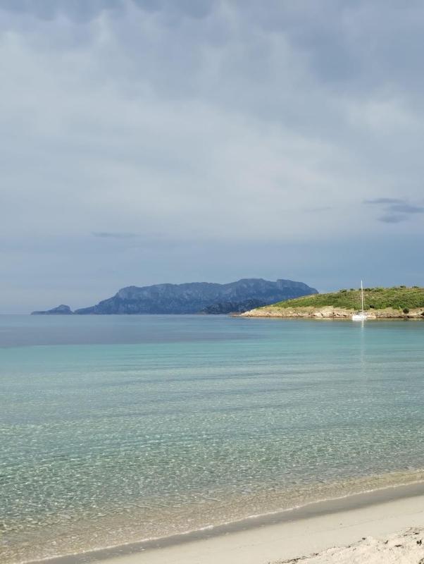 La dolce dimora a Pittulongu - Lussuoso appartamento mare
