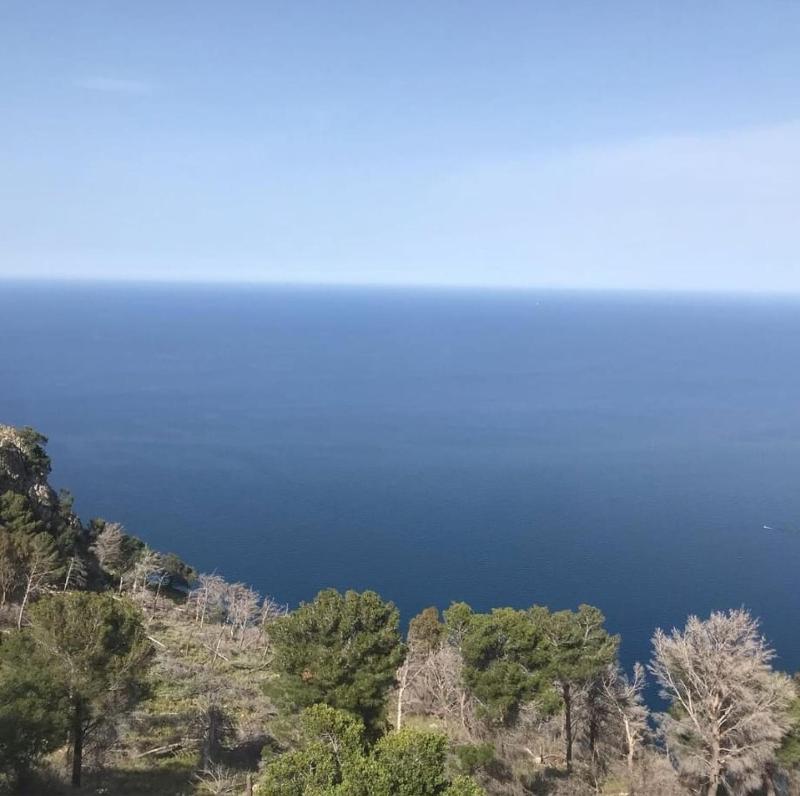 Цены на La Trinacria mare в Палермо