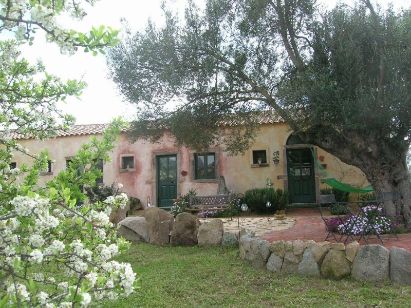 B&B La Mesenda ad Arzachena - Incantevole oasi con WiFi
