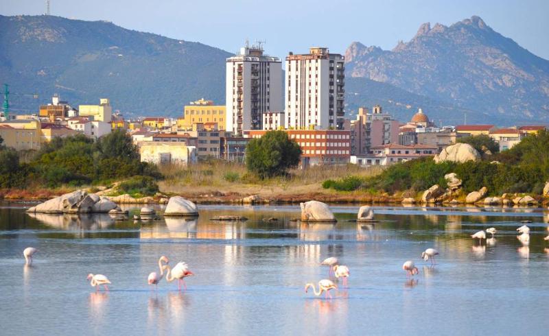 La Casa dei Fenicotteri a Olbia - Splendido B&B vista mare