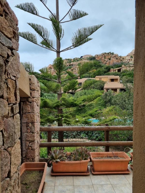 Casa Araucaria a Costa Paradiso - Villa con Piscina