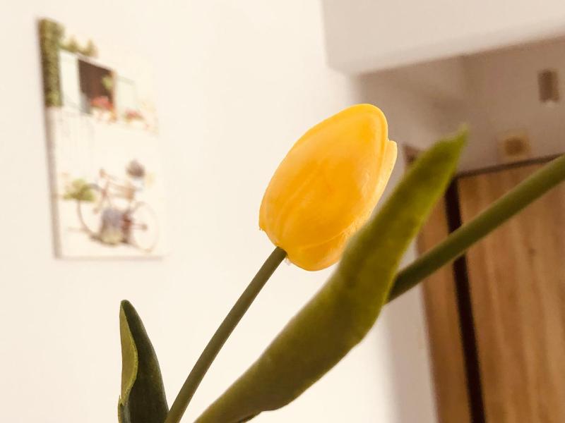 Цены на Apartment in Athens,Kallitea! в Афины