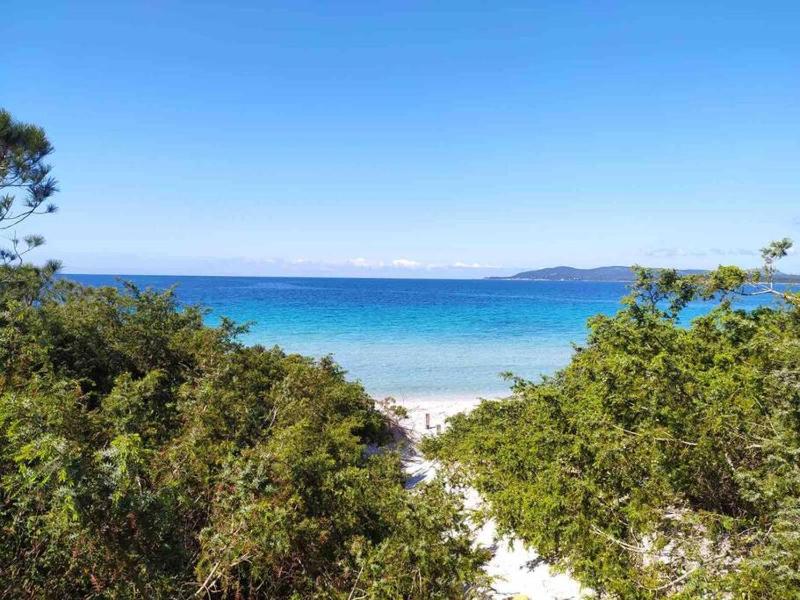 Margherita ad Olmedo - Spazioso Appartamento con Terrazza