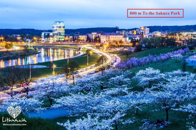 Nordic Studio 140 In Prime Vilnius Location — отель с удобным расположением в Вильнюсе