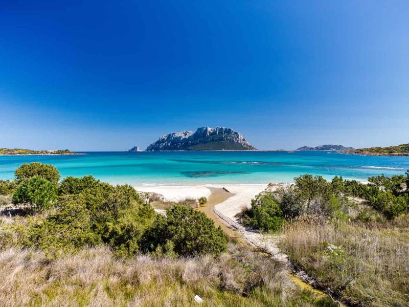 Attico Vespucci a Olbia - Lussuoso Penthouse Centrale