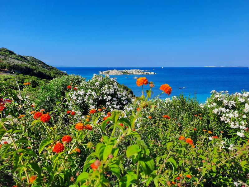 Porto Quadro Vista Corsica - Moderni apt vista mozzafiato