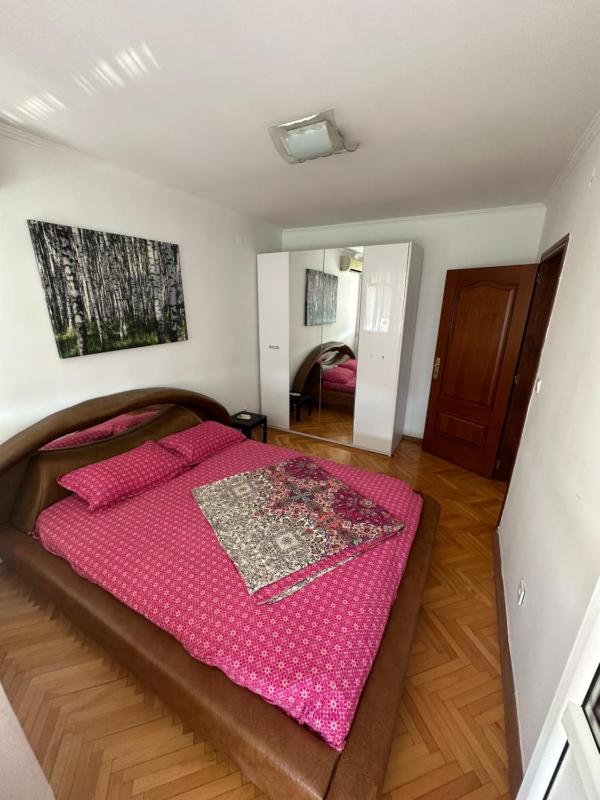 Large Centre apartment — отель с удобствами в Подгорице