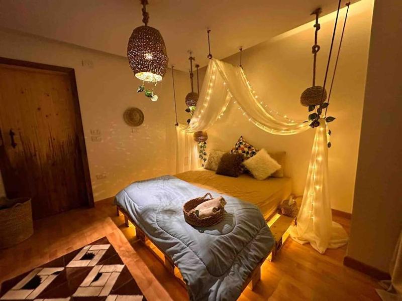 Цены на Great Cozy Studio in the City Center, Downtown в Каире