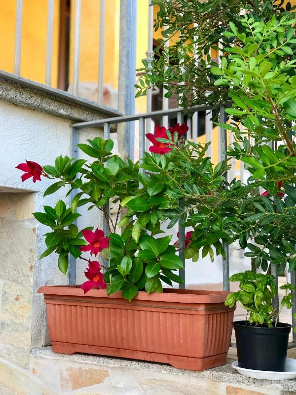 La Casa di Mu a Castelsardo - Appartamento vista mare
