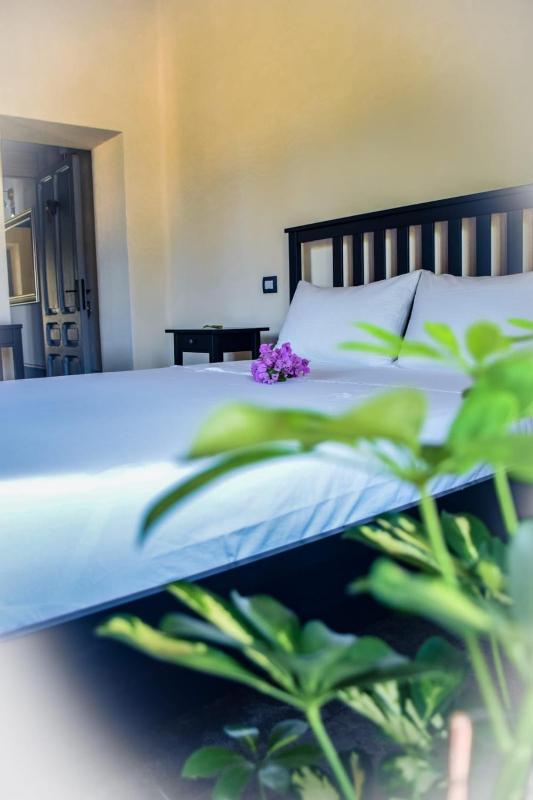Dimora Arborea a Marceddi - Affascinante B&B con giardino