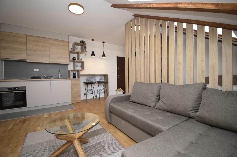 Studio apartment Art Zone II — забронировать отель в Подгорице