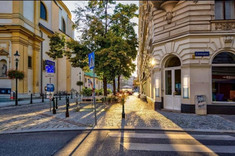 Your Sunny Home Away from Home — комфортный отель в вене