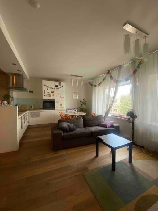 Cozy and modern apartment in the center of Riga — отель с удобным расположением в риге