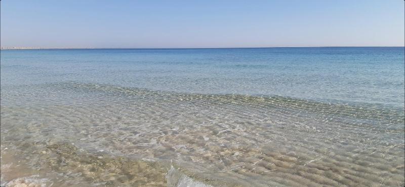 Shalyh llayjar fy qryt tahyty bay aljrawlt alsahl alshmaly qbl mtrwh bdqayq — забронировать отель в Марсе