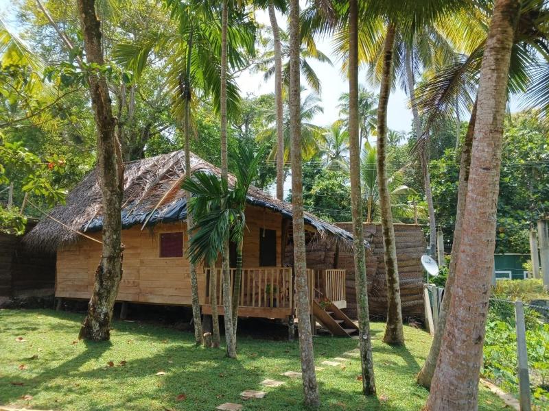 Peacock View Hikkaduwa — отель с удобным расположением в Хиккадува