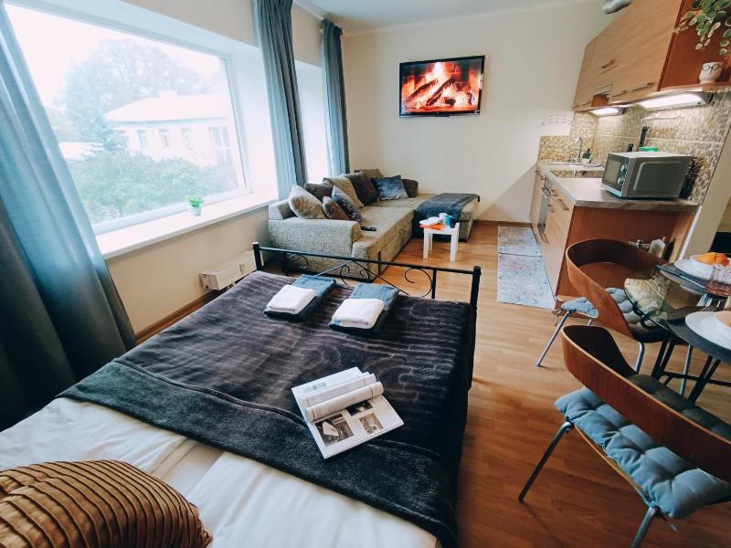 Homey Nest in Riga Midtown center, up to 4 guests — забронировать отель в риге