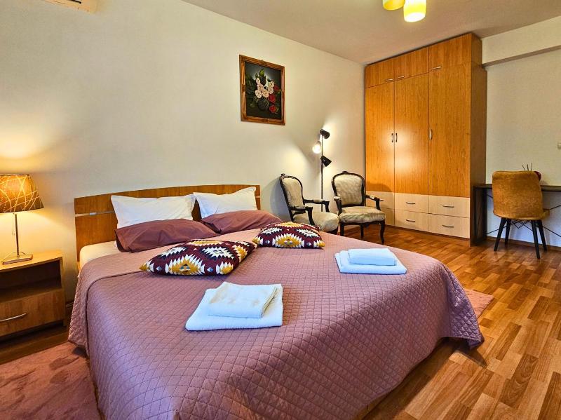 Studio Brancusi 45sqm by Rosuites — отель в Бухаресте, Румыния