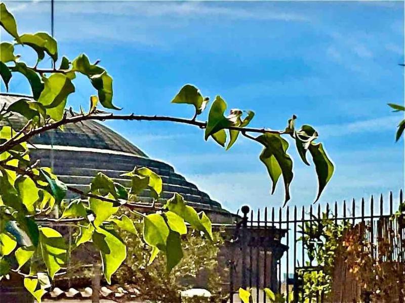 Цены на Attico con due terrazze al Pantheon в Риме