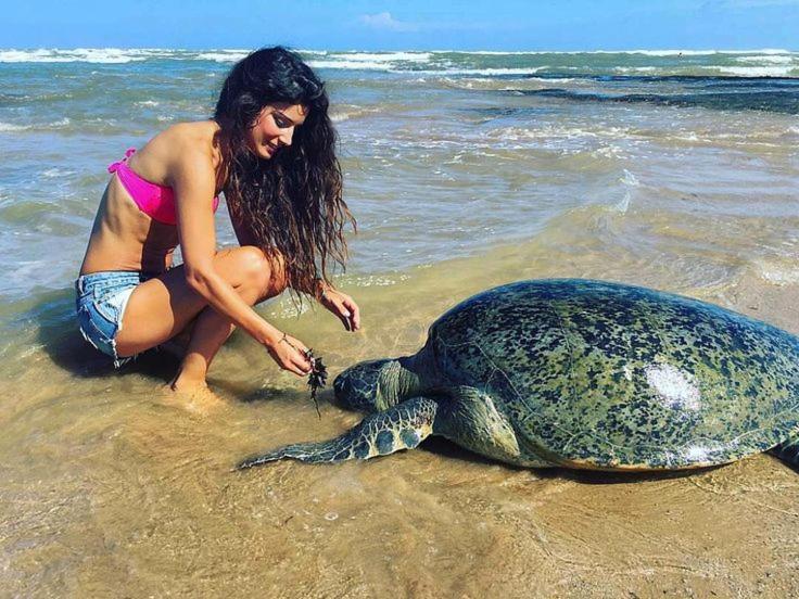 Turtle Bay — отель с удобным расположением в Хиккадува