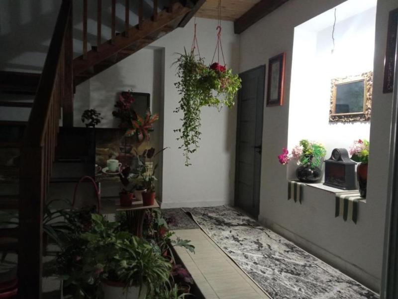 Family guest house — отель с удобным расположением в Ташкент