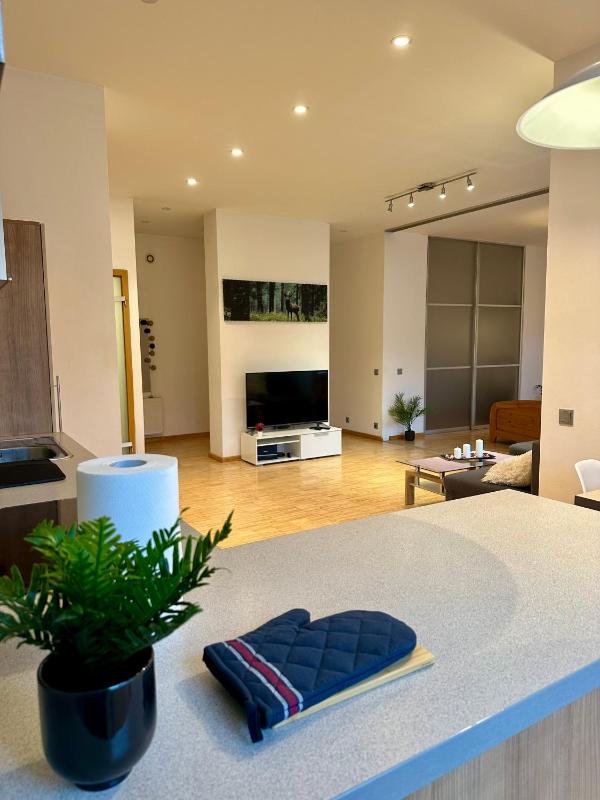 Riga Cozy Central Condo — забронировать отель в риге