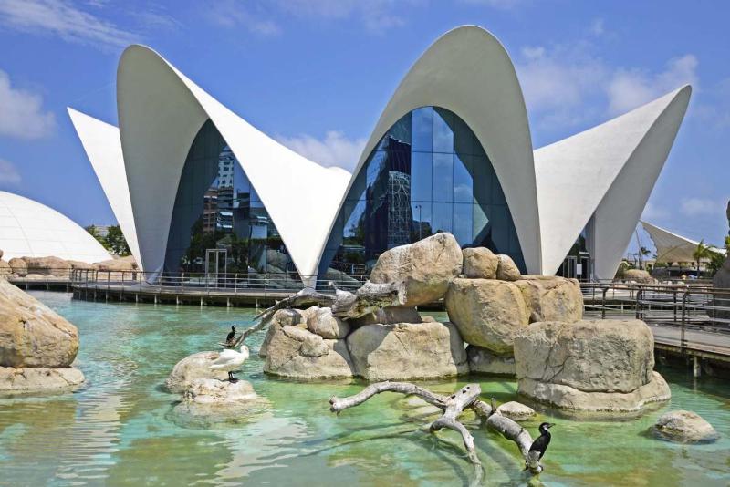 Lore Loft Valencia — отзывы гостей и цены
