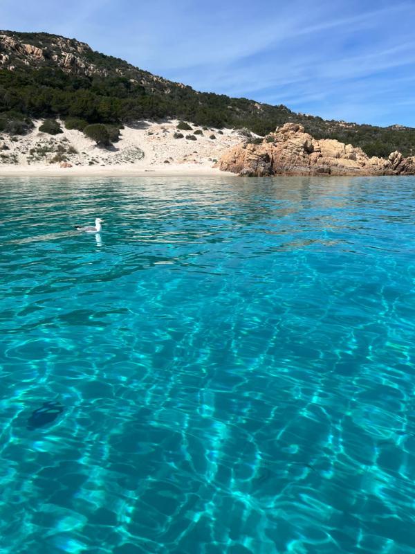 Il Fico a La Maddalena - Loft silenzioso e centrale