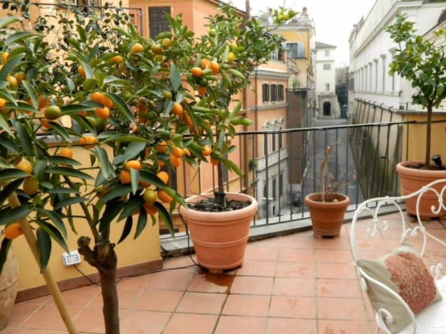 Panoramic Quirinale Garden — комфортный отель в Риме
