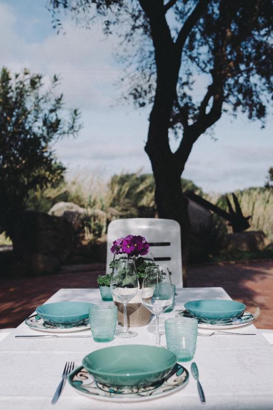 Casa Gerhard a Santa Teresa: Villa Ristrutturata Giardino