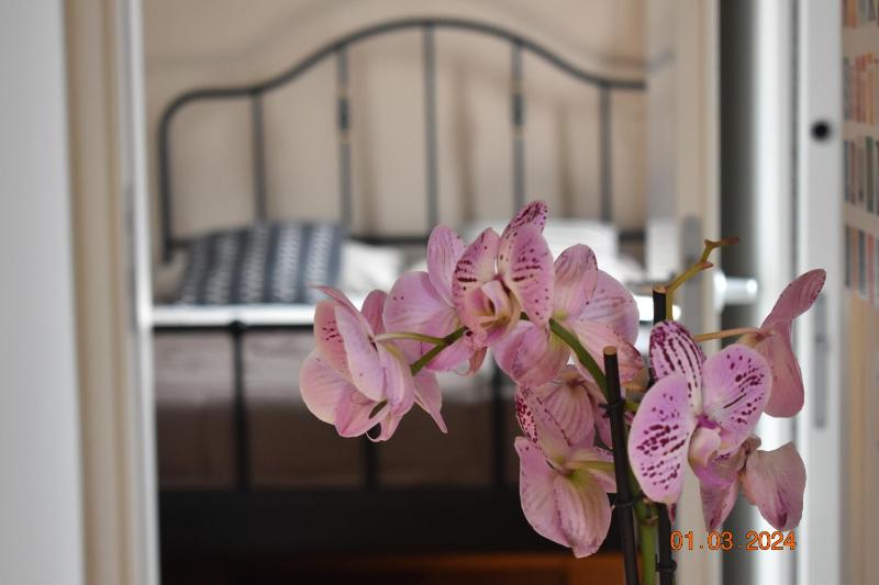 Trastevere St Ariabianca House — отель в Риме, Италия
